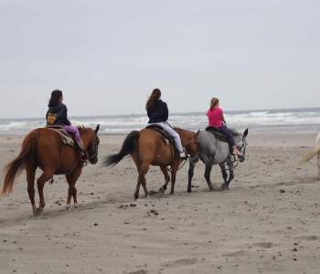Riding-on-the-beach-2